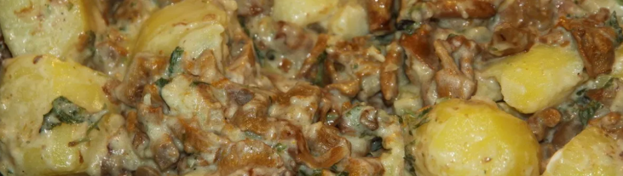 Як готувати лисички в духовці