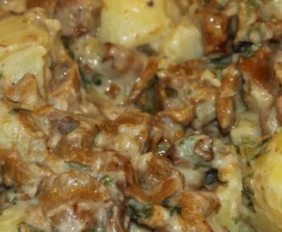 Як готувати лисички в духовці