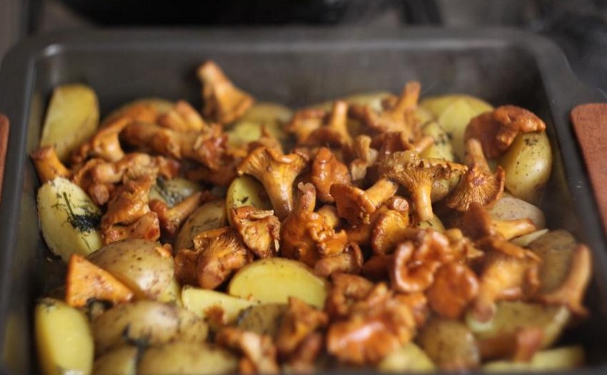 Лисички в духовці Лисички в духовці