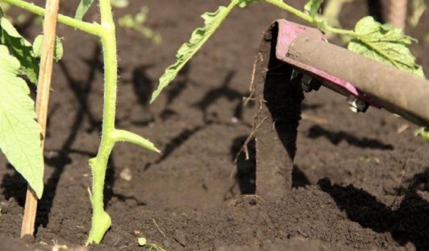 Розпушування грунту Розпушування грунту