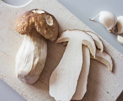 Білі гриби: первинна чистка в лісі, правильна обробка перед приготуванням