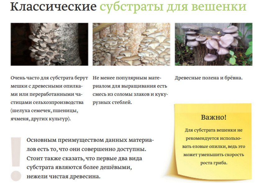 Субстрат для вирощування глив Субстрат для вирощування глив