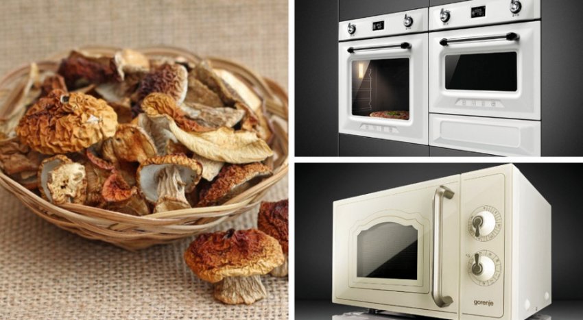 Сушка грибів в духовці і мікрохвильовій печі