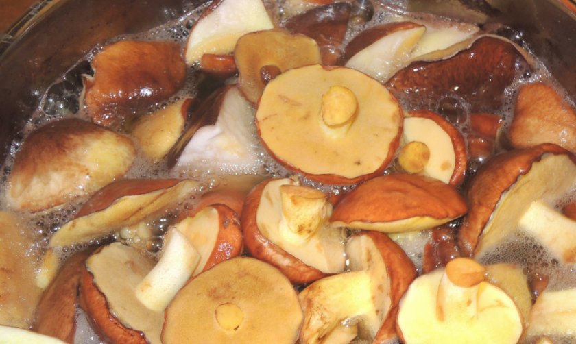 Бланширование маслят Бланширование маслят