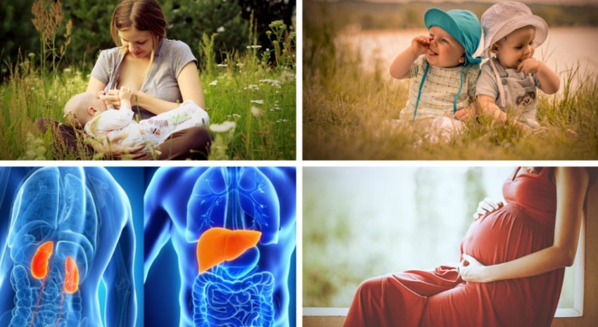 Протипоказання до вживання грибів