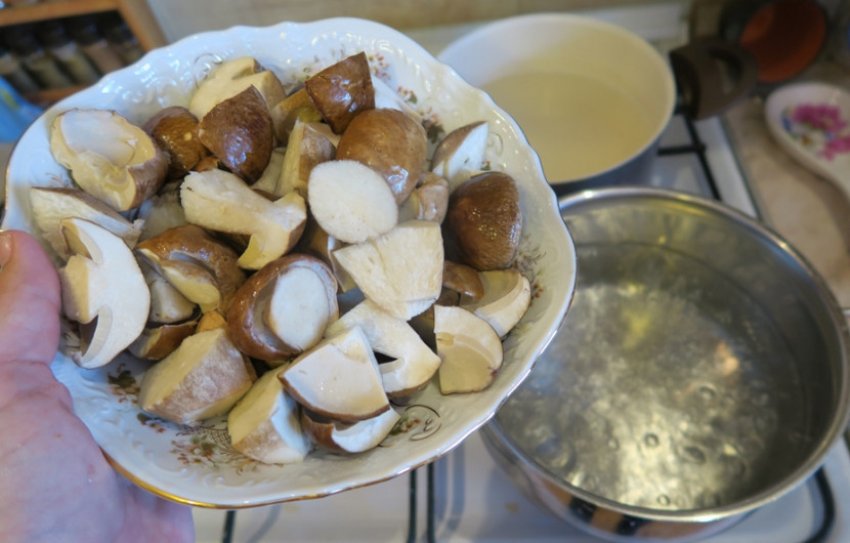 Варіння білих грибів