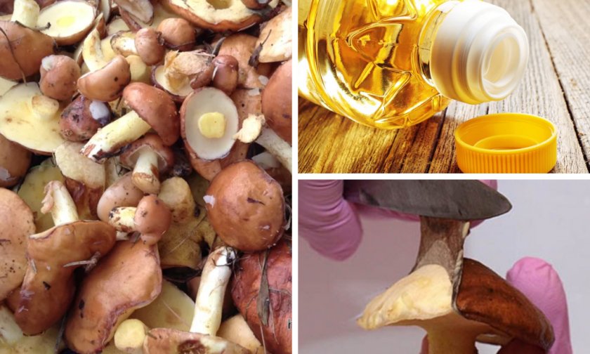 Чистка с помощью растительного масла Чистка с помощью растительного масла