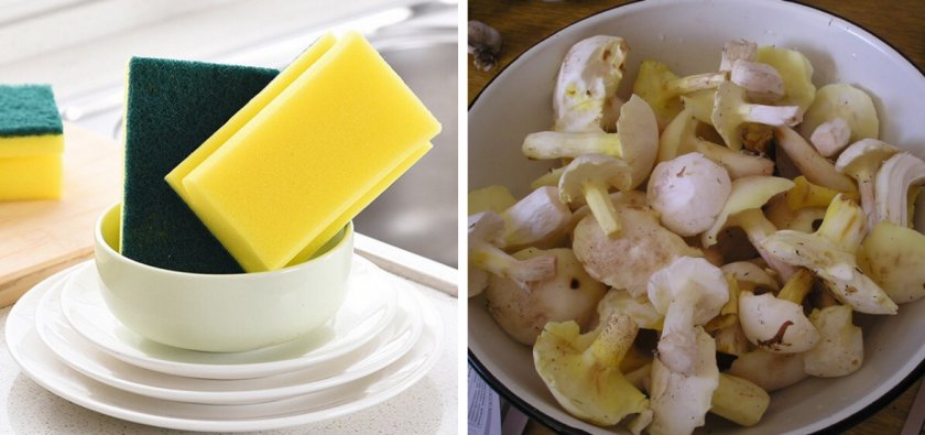 Чистка губкой маслят Чистка губкой маслят