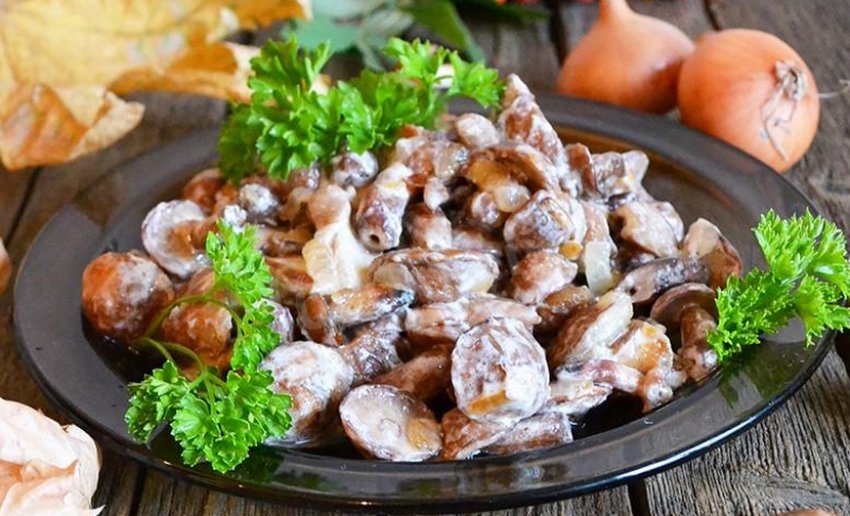 Маслята чистка отмыть чем
