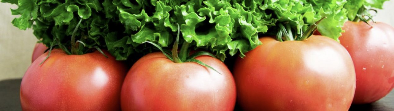 Помідори «Москвич»: опис сорту, посадка і догляд