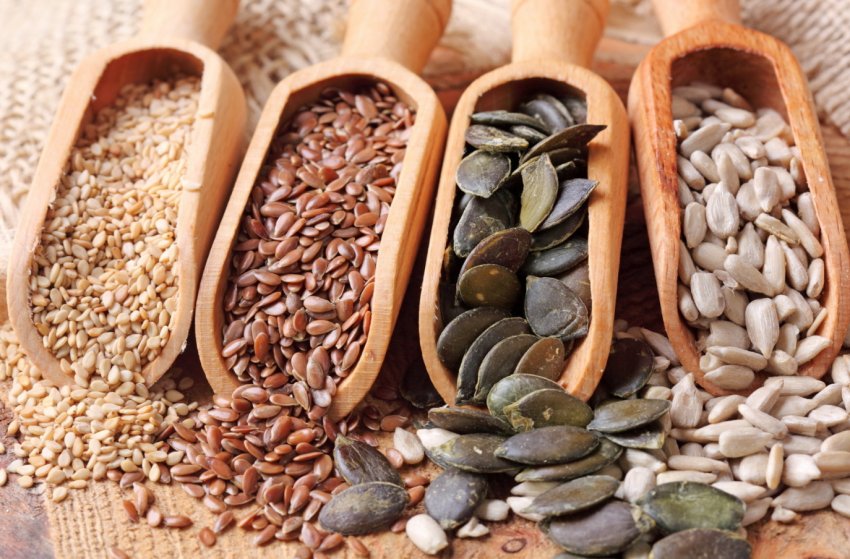 «Епіцентр К» відкрив власний насіннєвий завод у Хмельницькій області «Епіцентр К» відкрив власний насіннєвий завод у Хмельницькій області