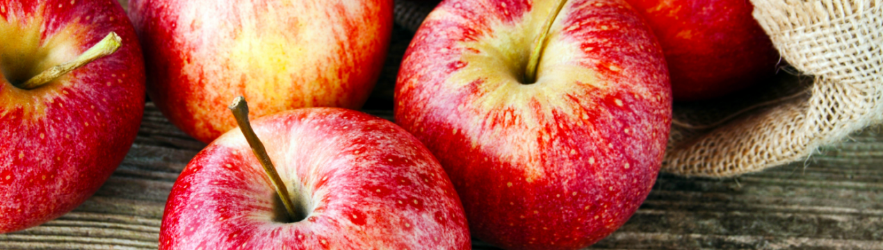 У Тернопільській області існує високорентабельний сад європейського зразка