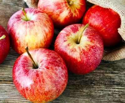 У Тернопільській області існує високорентабельний сад європейського зразка