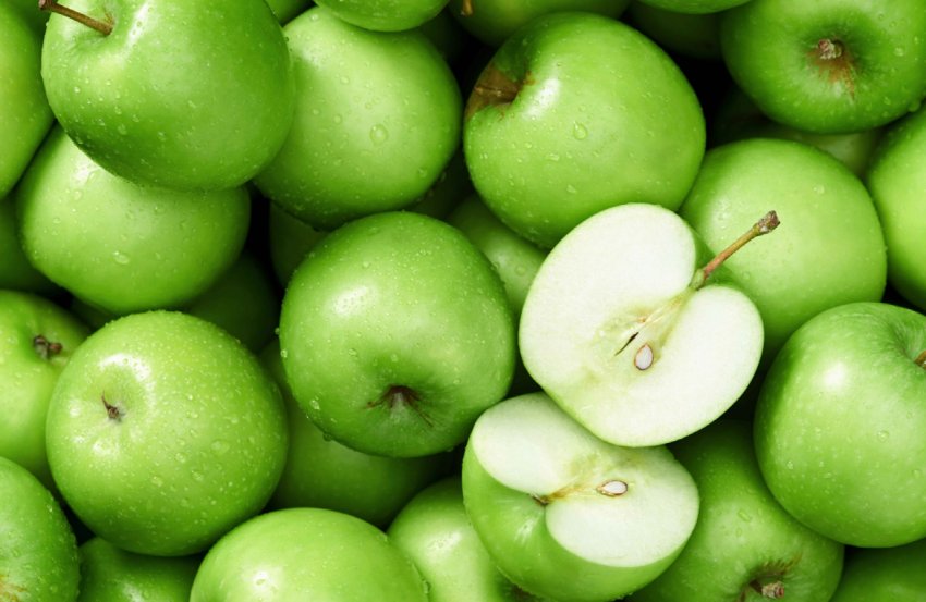 В Тернопільській області існує високорентабельний сад європейського зразка В Тернопільській області існує високорентабельний сад європейського зразка