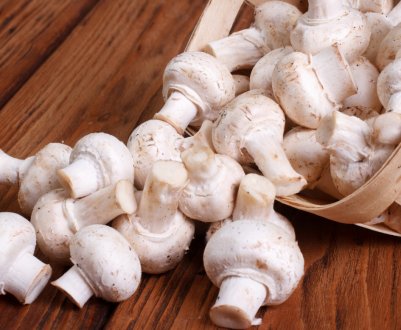 Печериці: користь і шкода, думку Комаровського, зі скількох років печериці можна дітям