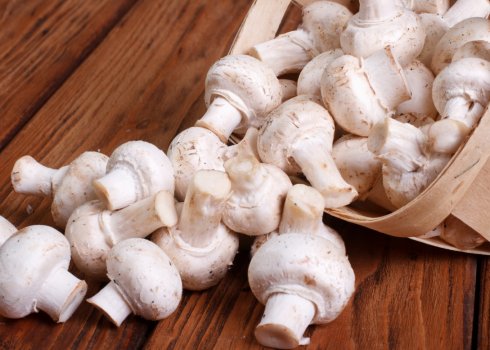 Печериці: користь і шкода, думку Комаровського, зі скількох років печериці можна дітям