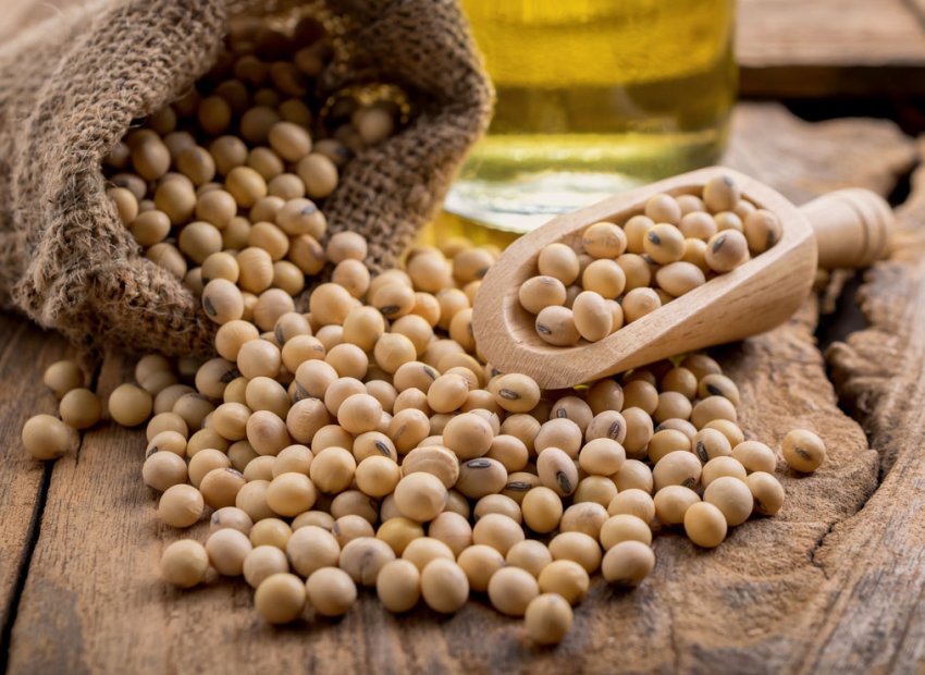 Російські аграрії націлені на олійний рекорд Російські аграрії націлені на олійний рекорд