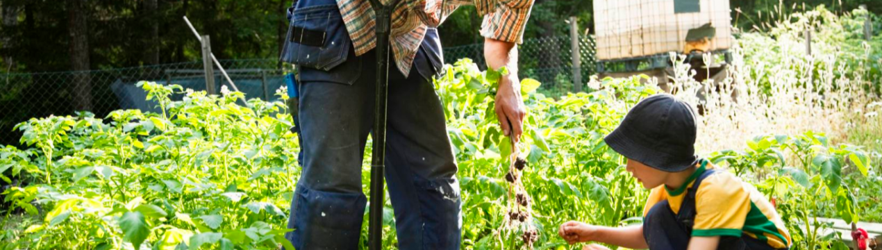 Татарські садівники готові відзначити з розмахом професійне свято