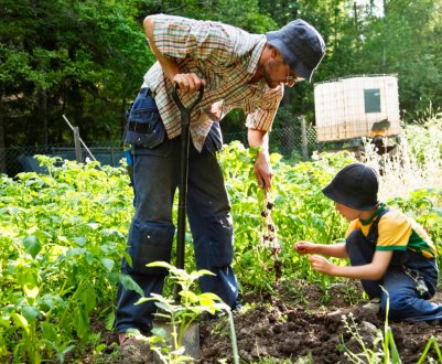 Татарські садівники готові відзначити з розмахом професійне свято