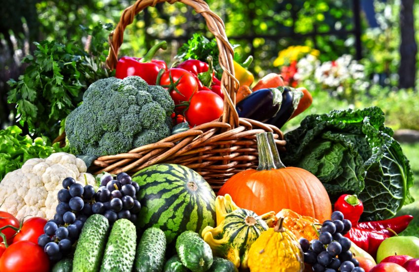 Татарські садівники готові відзначити з розмахом професійне свято Татарські садівники готові відзначити з розмахом професійне свято