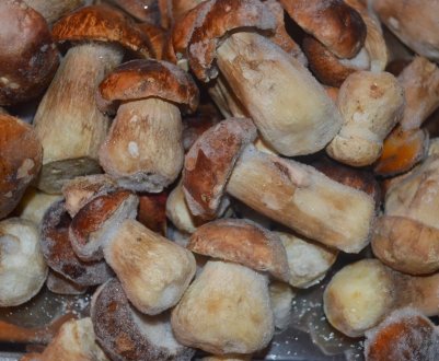 Заморожування білих грибів і як правильно підготувати їх до заморожування