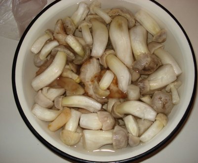 Як готувати гриби зеленушки