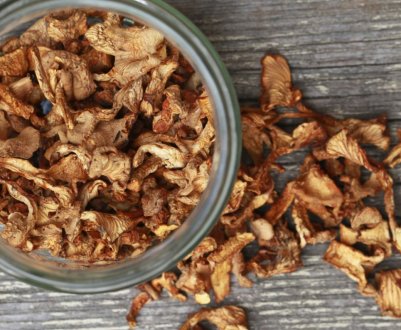 Як засушити лисички в домашніх умовах