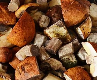 Як готувати страви зі свіжих підосичників