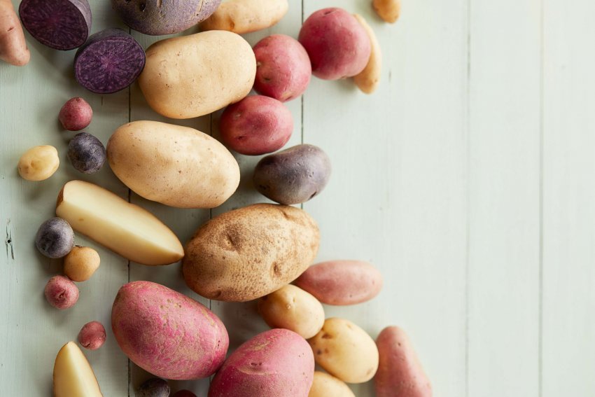 На гавайських просторах картопля витіснив цукровий очерет