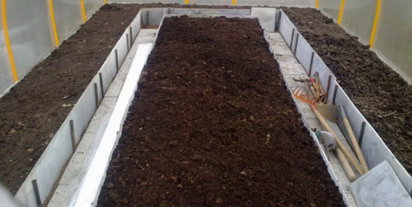 Грядка у теплиці