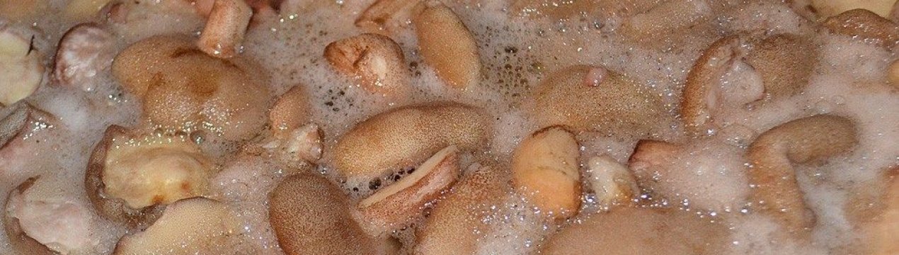 Маслюки стали рожевими після варіння: причини