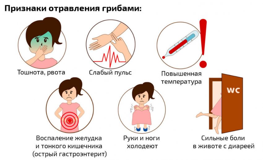 Симптоми отруєння грибами