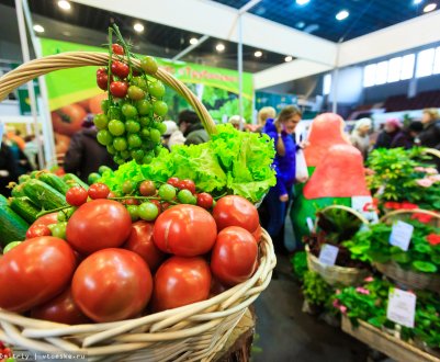 Сахалінські аграрії готові до «Золотої осені»