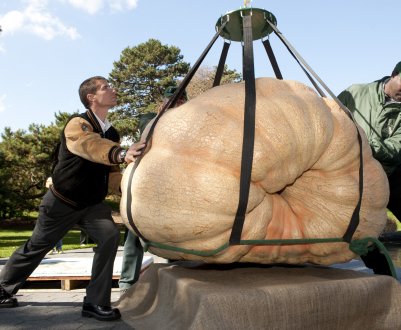 На британських просторах хвалилися гігантськими овочами