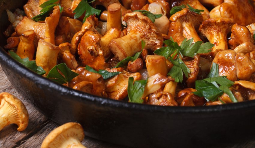 приготовить лисички вкусно и просто на сковороде. Смотреть фото приготовить лисички вкусно и просто на сковороде. Смотреть картинку приготовить лисички вкусно и просто на сковороде. Картинка про приготовить лисички вкусно и просто на сковороде. Фото приготовить лисички вкусно и просто на сковороде