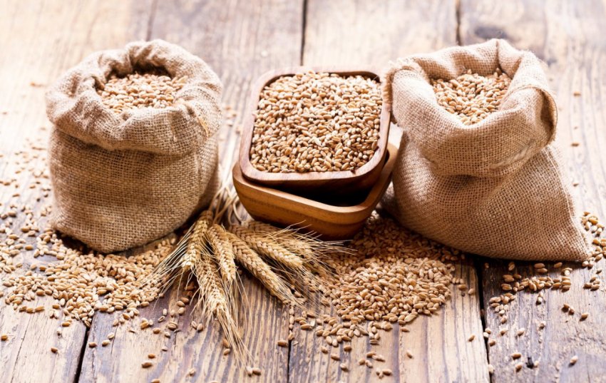 Хмельницьке фермерське господарство сіє тільки першу і другу репродукцію озимих Хмельницьке фермерське господарство сіє тільки першу і другу репродукцію озимих