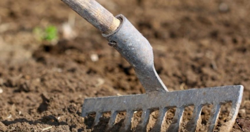 Весняна підготовка грунту