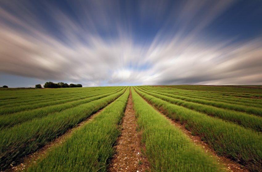 Аномальна спека висушує землі України