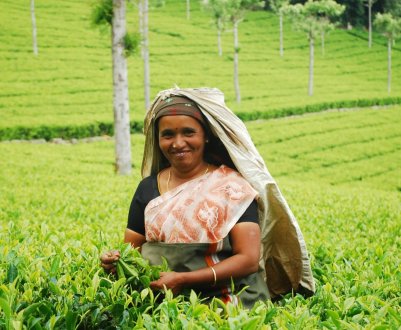 Уряд Індії запустив мобільний додаток для фермерів