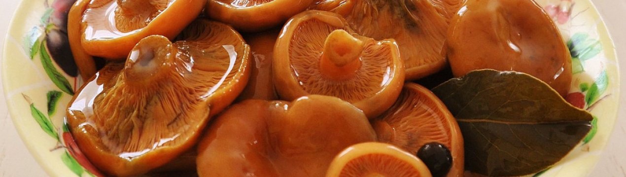 Засолювання рижиків на зиму різними способами