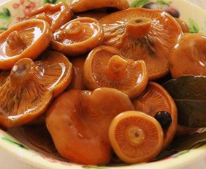 Засолювання рижиків на зиму різними способами