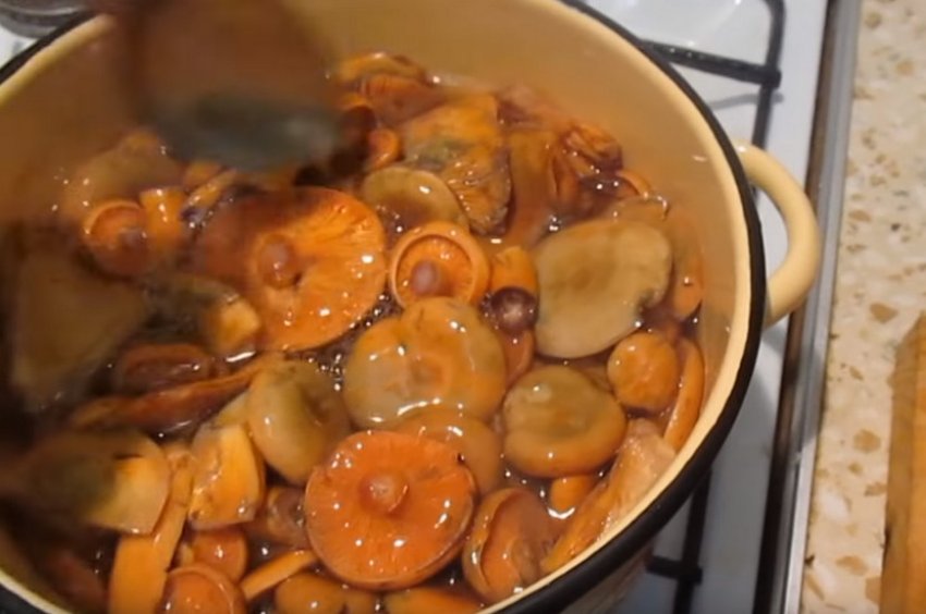 Соленые рыжики как пишется