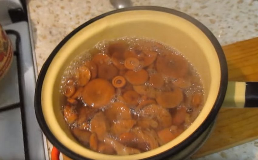 Соленые рыжики как пишется