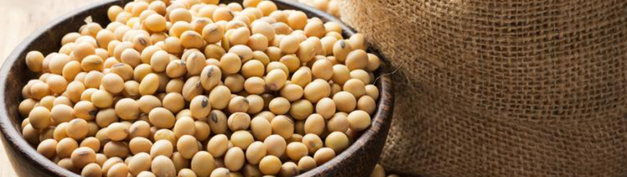 Американська соя відчуває «нездужання»