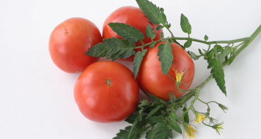 «Відрадний»