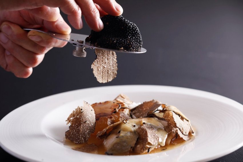 Как готовить грибы трюфели: лучшие рецепты блюд