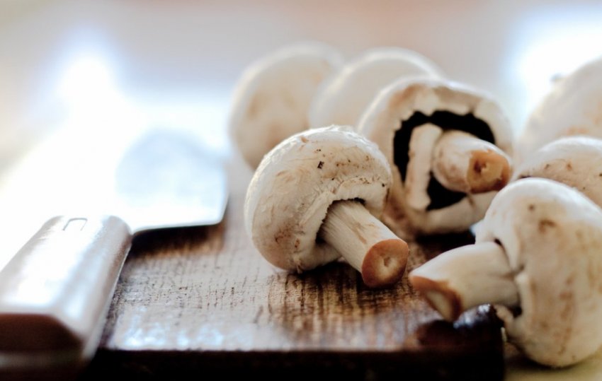 Свіжі печериці Свіжі печериці