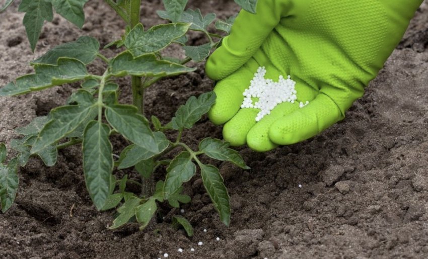 Мінеральна підгодівля Мінеральна підгодівля