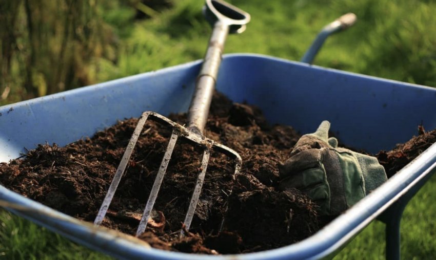 Органічне підживлення Органічне підживлення