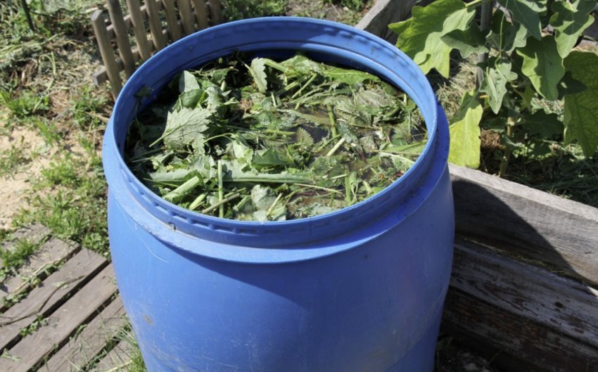 Трав'яна підживлення Трав'яна підживлення